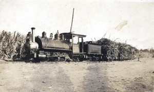 Ewa Plantation Locomotive #6, 1926.  