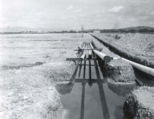 Construction of the Standard Oil pipeline through Honolulu International Airport, 1959. 