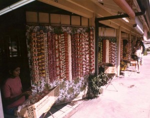 Lei Stands