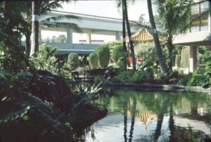 Hawaiian Garden, Honolulu International Airport, 1987.
