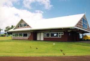 Princeville Airport 1994