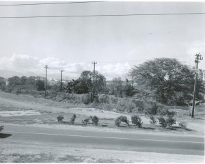 Phase one clearing for the construction of new terminal on North Ramp, Honolulu International Airport, March 1, 1959.