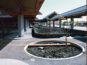 Hilo Airport, January 15, 1976