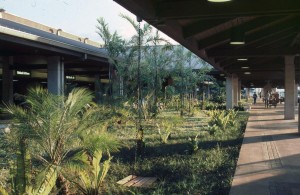 Lihue Airport 1987  