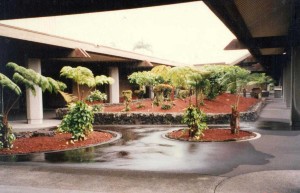 Hilo International Airport November 19, 1991   